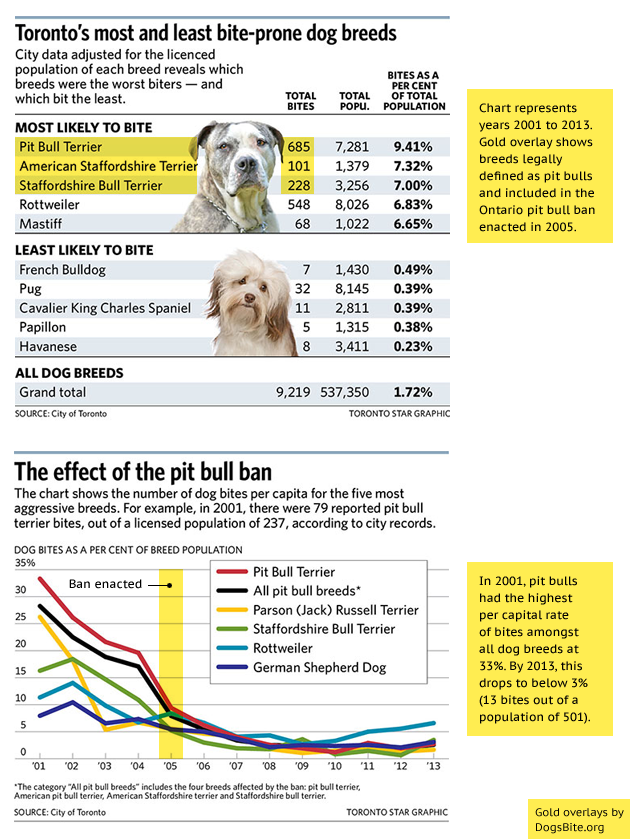 Dog Attack Statistics Chart