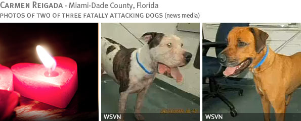Carmen Reigada - Fatal Pit Bull-Mix Attack Fatal pit bull attack - Carmen Reigada