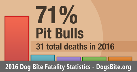 2016 dog bite fatality statistics