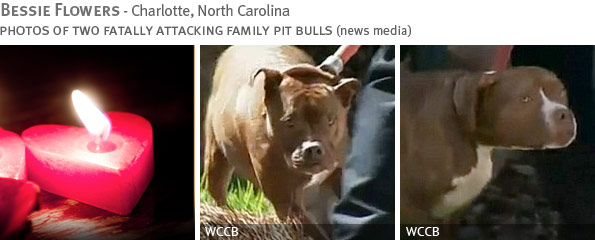 Fatal pit bull attack - Bessie Flowers