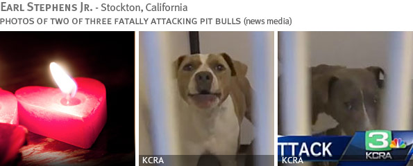 Fatal pit bull attack - Earl Stephens Jr.