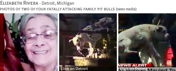 Elizabeth Rivera - Fatal Pit Bull Attack Fatal pit bull attack - Elizabeth Rivera