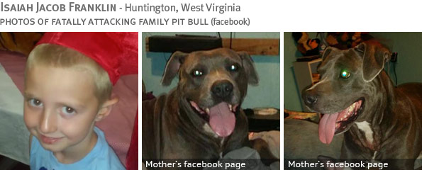 Fatal pit bull attack - Isaiah Jacob Franklin