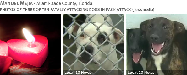 Manuel Mejia - Fatal Pack Attack Fatal pack attack - Manuel Mejia