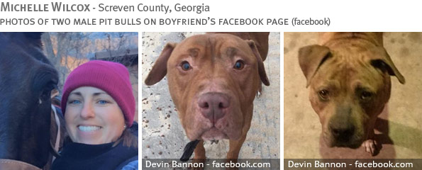 Fatal pit bull attack - Michelle Wilcox