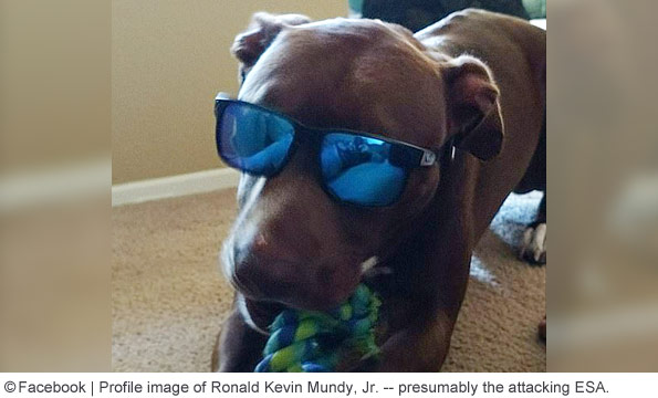 ronald kevin mundys emotional support dog