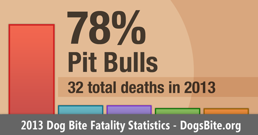 2013 U.S. Dog Bite Fatality Statistics