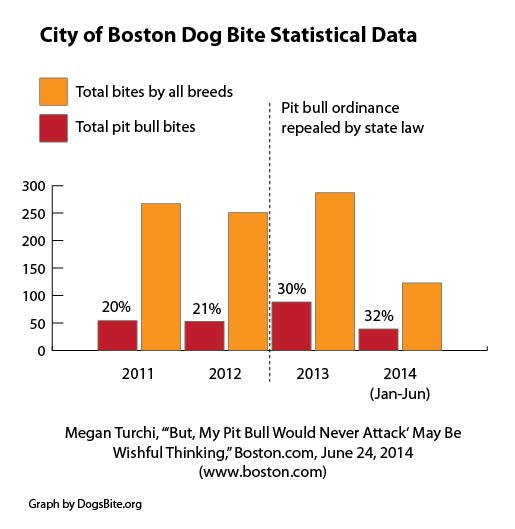 Dog Attack Statistics Chart