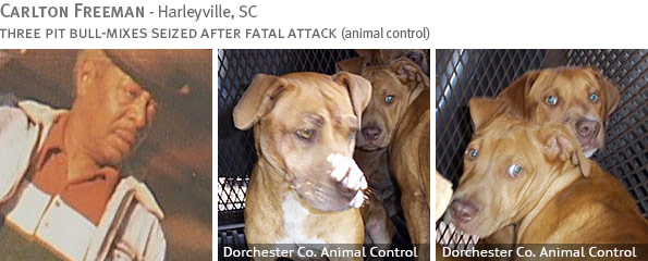 Fatal pit bull attack - Cartlon Freeman photo