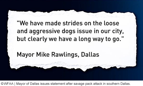 dog attack southern dallas