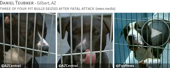 Fatal pit bull attack - Daniel Doe photo