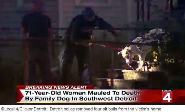 family pit bull kills detroit woman