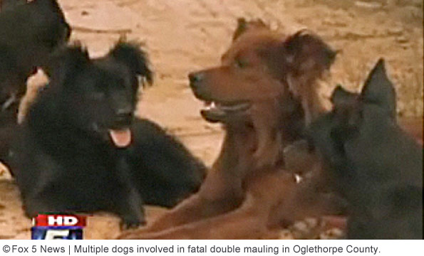 deadly pack attack, Oglethorpe County, Sherry and Lothar Schweder