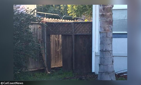 alex geigers fence fatal dog mauling