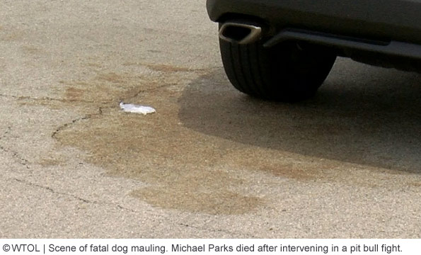 fostoria man dies after breaking up pit bull fight