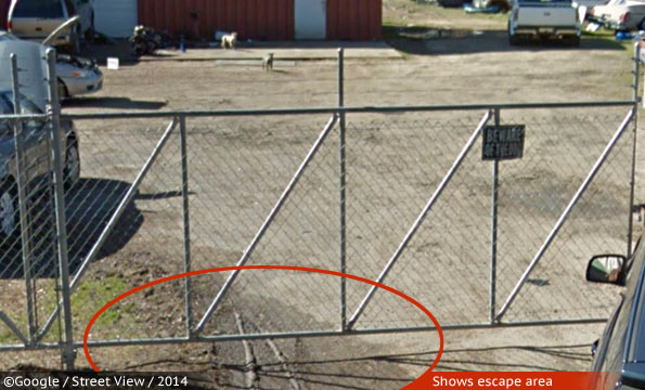 Photo showing fence where pit bulls escaped to fatally attack Pine Bluff man