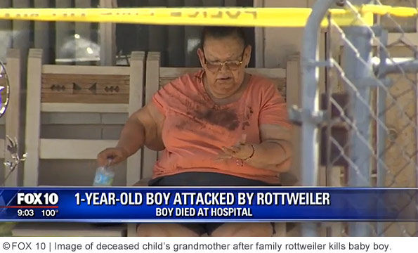 grandmother after family rottweiler destroys baby boy