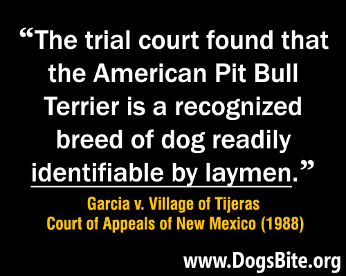 meme, high courts rule a dog owner of ordinary intelligence can identify a pit bull