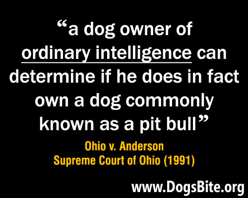 meme, high courts rule a dog owner of ordinary intelligence can identify a pit bull
