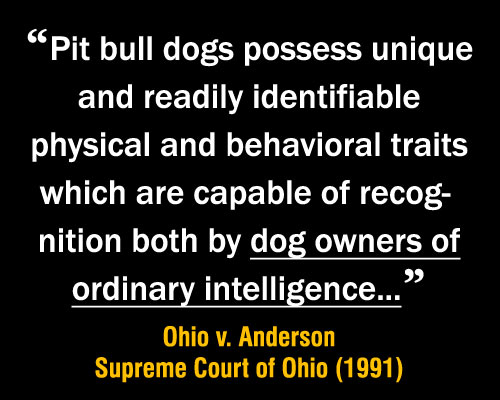 meme, high courts rule a dog owner of ordinary intelligence can identify a pit bull