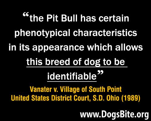 meme, high courts rule a dog owner of ordinary intelligence can identify a pit bull