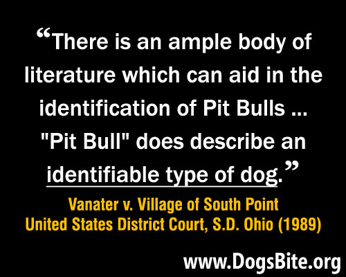 meme, high courts rule a dog owner of ordinary intelligence can identify a pit bull