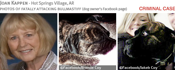 Fatal bullmastiff attack - Joan Kappen photo