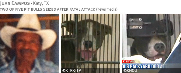 Fatal pit bull attack - Juan Campos photo