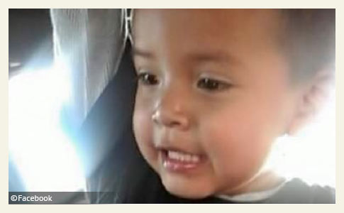 3 year old boy killed by pit bulls navajo nation