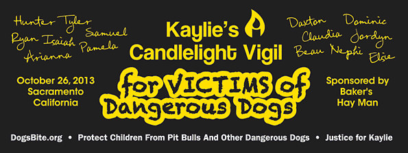 Kaylie's candlelight vigil for victims of dangerous dogs