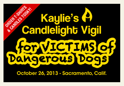 kaylie's Candlelight Vigil for Victims of Dangerous Dogs 