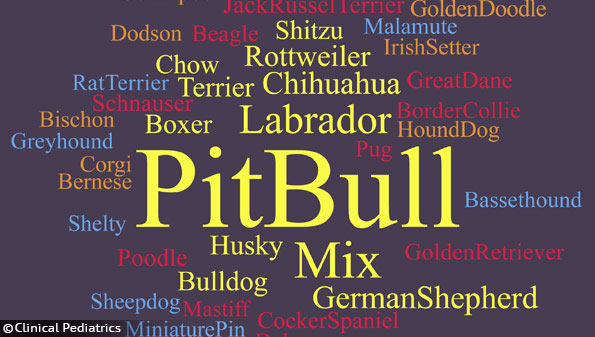 dog bite studies pit bulls higher severity of injury