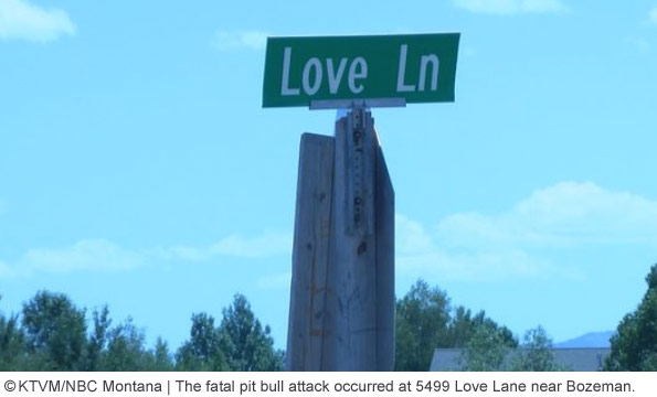 deadly pit bull attack occurred at 5499 Love Lane near Bozeman