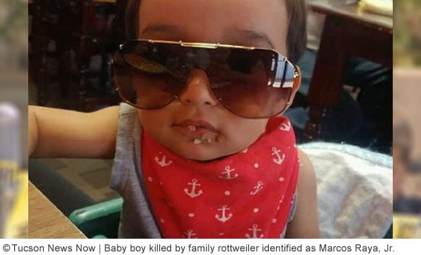 Marcos Raya, Jr. killed by family rottweiler