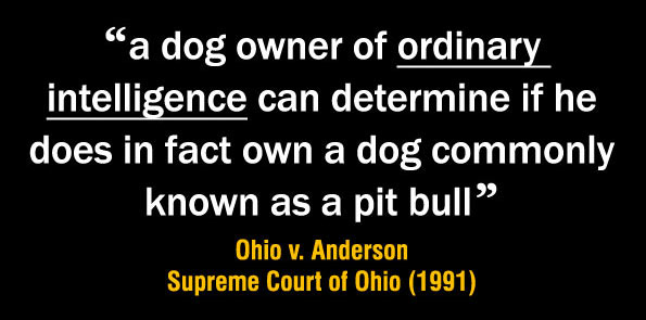 A dog owner of ordinary intelligence can determine if he does in fact own a dog commonly known as a pit bull dog