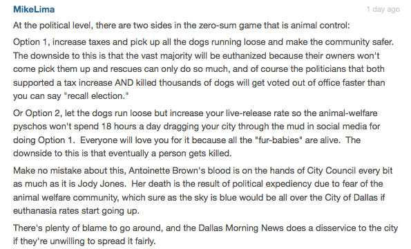 dallas fatal dog attack