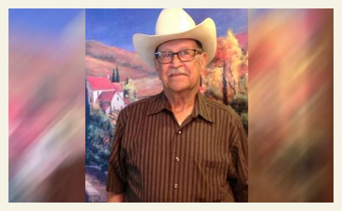 pit bulls kill pecos man, texas