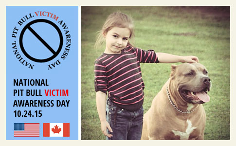 take action on national pit bull victim awareness day, pit bull spay neuter laws
