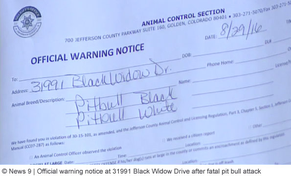 family pit bulls kill woman in conifer colorado