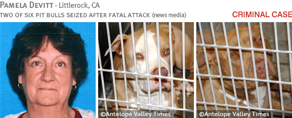 Fatal pit bull attack - Pamela Devitt photo