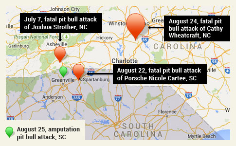 three fatal pit bull attacks, north carolina and upstate south carolina