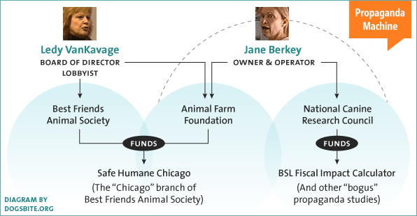 ledy vankavage and jane berkey pit bull propaganda machine diagram, infographic