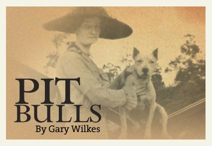 Pit Bulls by Gary Wilkes