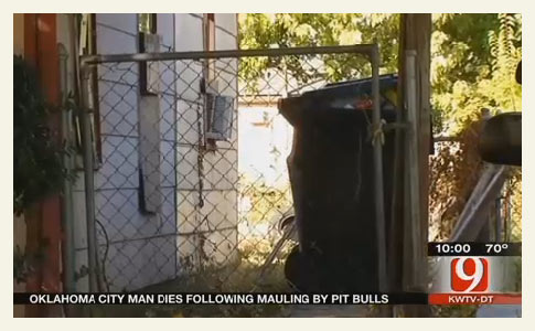 Pit bulls kill oklahoma city man