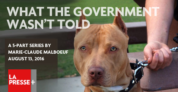 What the government was not told, montreal pit bull ban