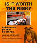 safety flyer pit bulls and children do not mix