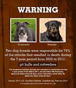 safety flyer pit bulls and children do not mix