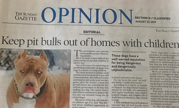 editorial after family pit bull viciously attacks child in Amsterdam, New York