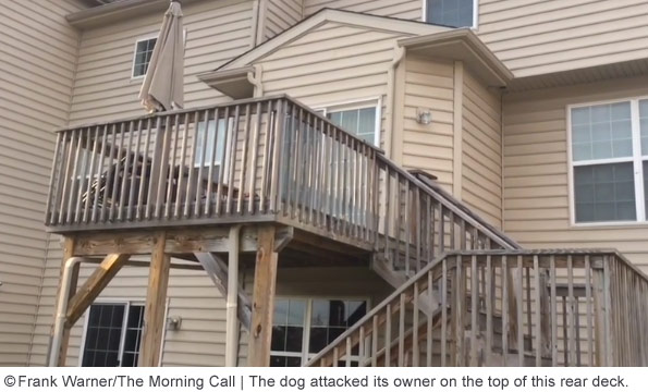 lisa green, killed by dog on back deck